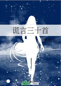 谎言三十首封面