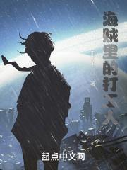 海贼里的打工人封面