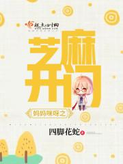 妈妈咪呀之芝麻开门封面