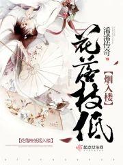 花落枝低烟入楼封面