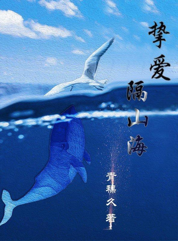 挚爱隔山海封面
