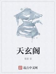 天玄阁封面