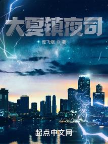大夏镇夜司封面