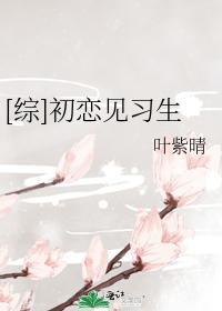 [综]初恋见习生封面