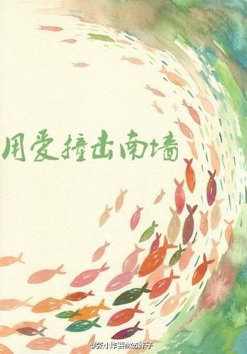 用爱撞击南墻封面