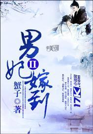男妃嫁到II封面