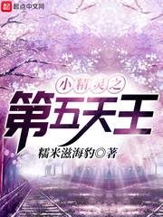 小精灵之第五天王封面