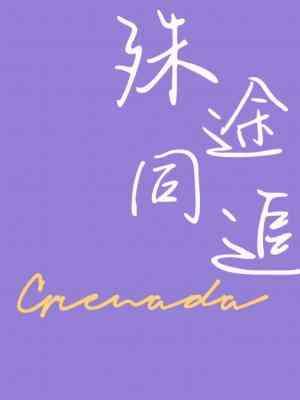 殊途同追封面