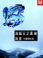海贼王之鬼影重重封面