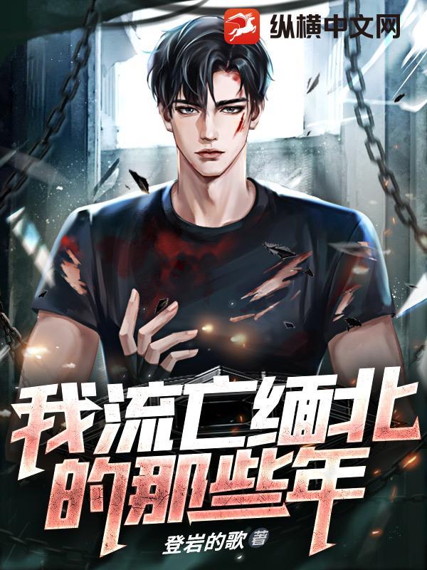 我流亡缅北的那些年封面