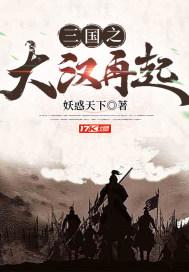 三国之大汉再起封面