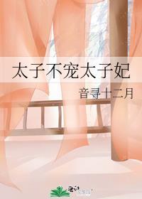 太子不宠太子妃封面