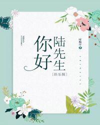 你好，陆先生封面