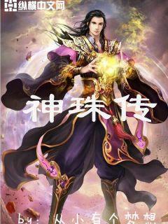 神珠传封面