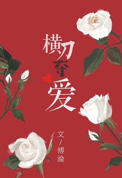 横刀夺爱小说远上白云间封面