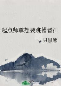 起点师尊想要跳槽晋江封面