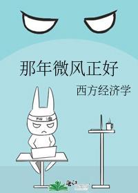 那年微风正好封面