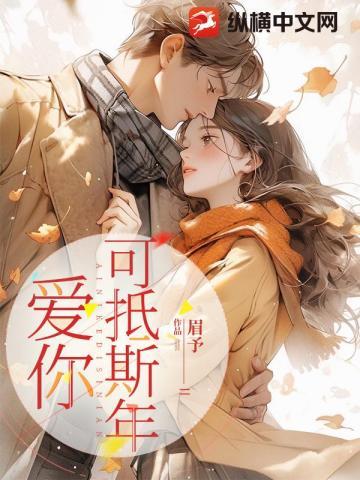 爱你可抵斯年封面