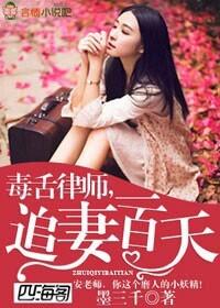 毒舌律师，追妻一百天封面