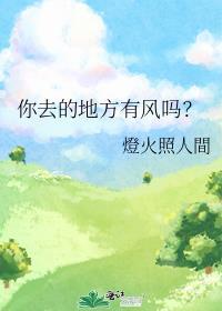 你去的地方有风吗？封面