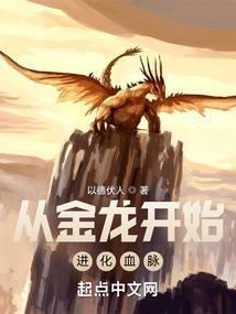进化应龙血脉封面