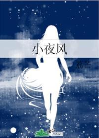 小夜风封面