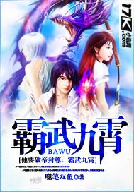 霸武九霄封面