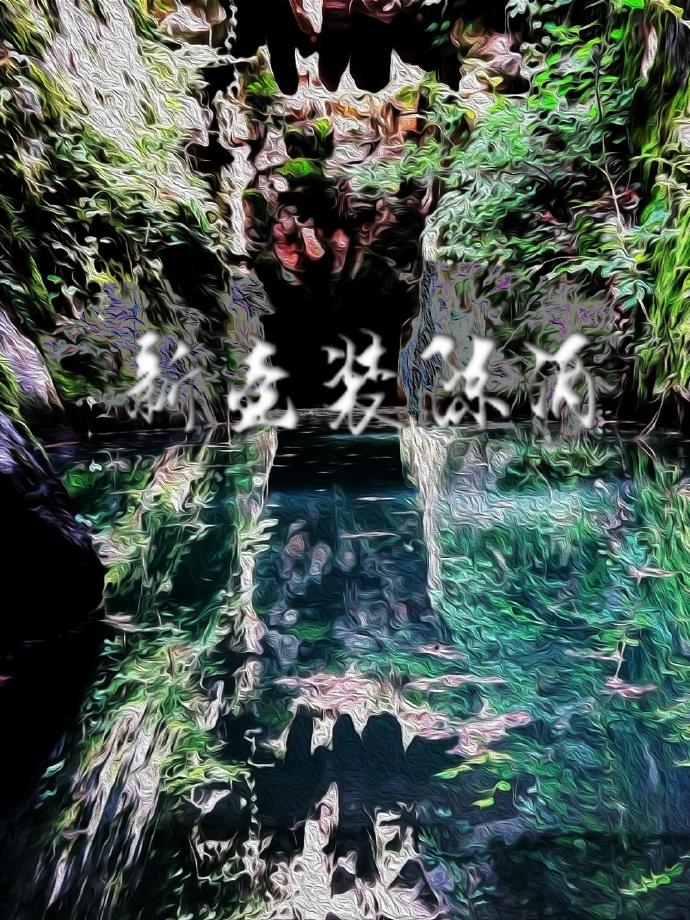新壶装陈酒封面