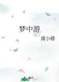 梦中游封面