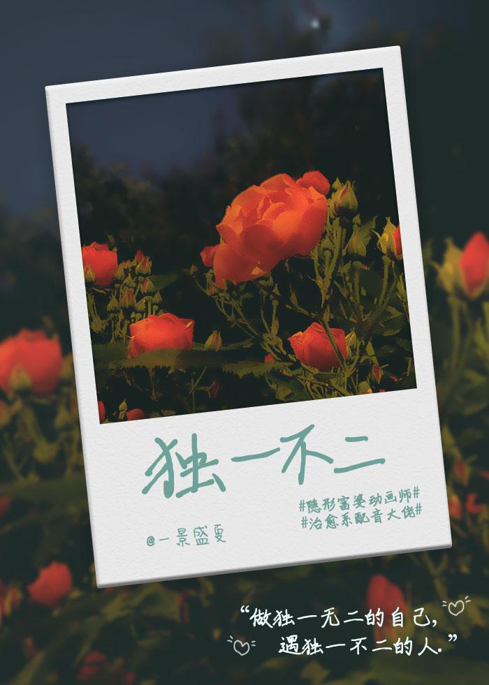 独一不二封面