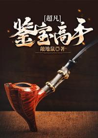 超凡鉴宝高手封面