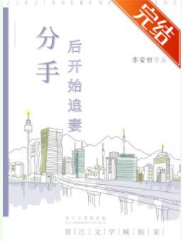 分手后开始追妻封面