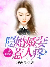 一夜情深：隐婚娇妻惹人疼封面