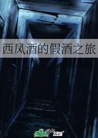 西凤酒的假酒之旅封面