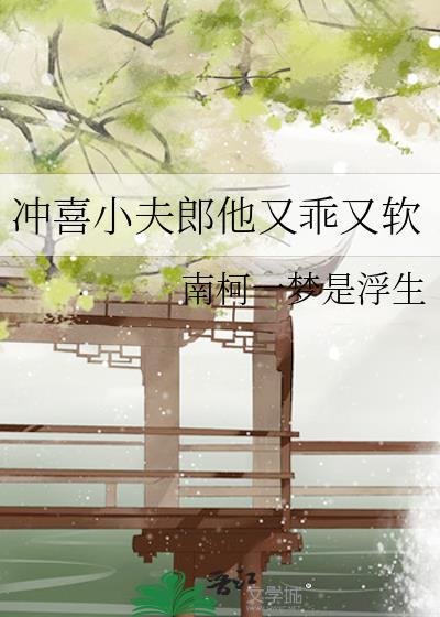 冲喜小夫郎他又乖又软封面