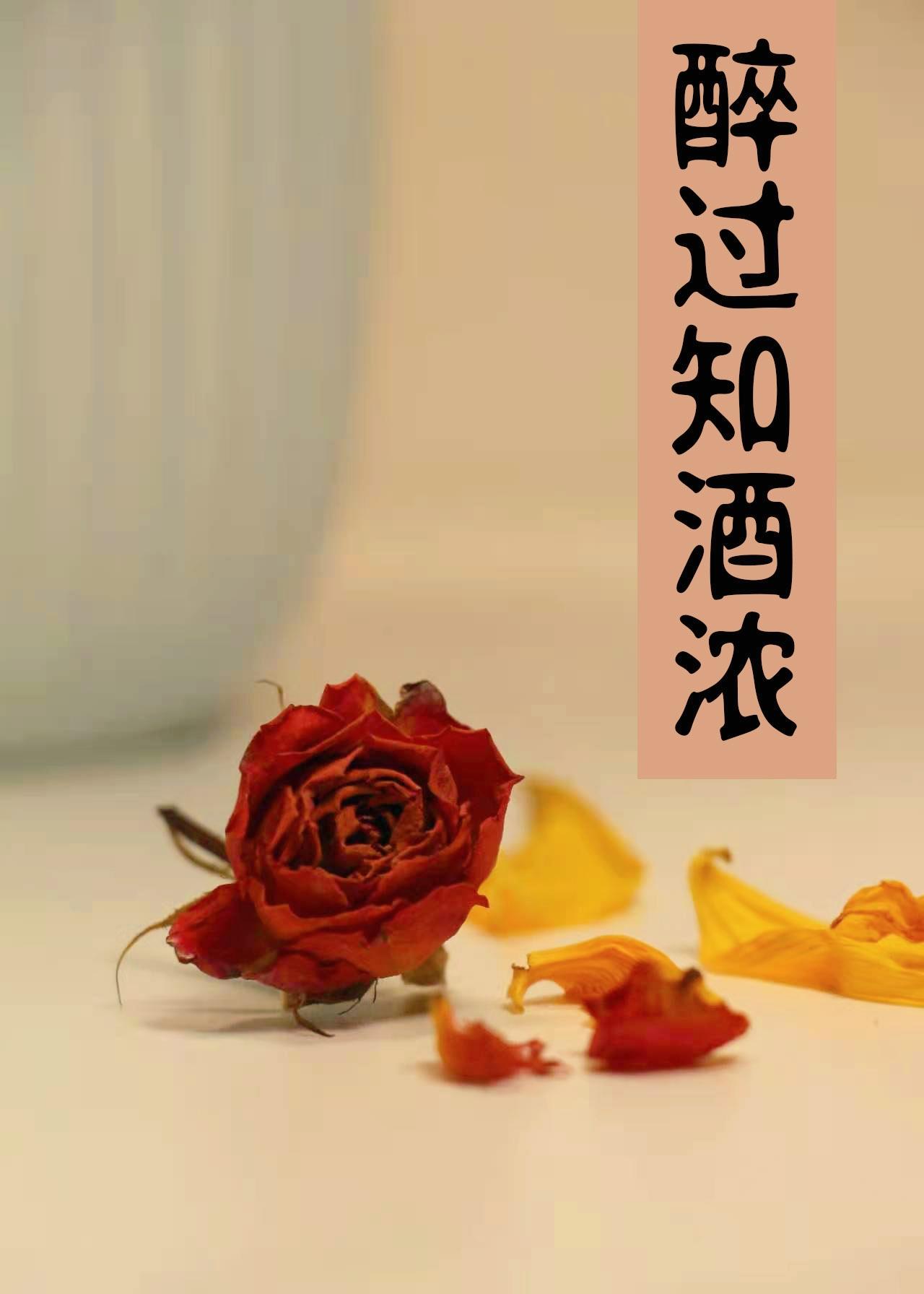 醉过知酒浓封面