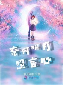奈何明月照言心封面