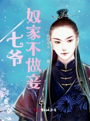 七爷，奴家不做妾封面
