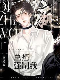 疯O总想强制我封面