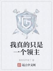 我真的只是一个领主封面