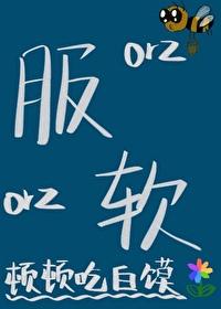 服软林漾秦决封面