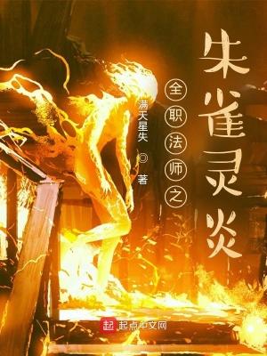 全职法师之朱雀灵炎封面
