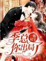 一胎双宝：季总你出局了封面