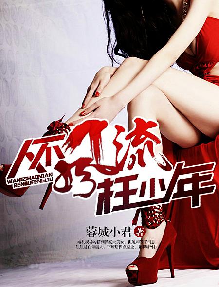 人不风流枉少年封面