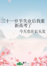 三十一岁半失业后我重新高考了封面
