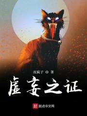 虚妄之证封面