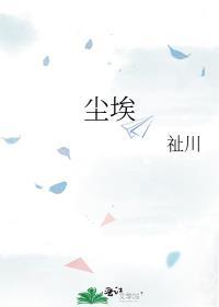 尘埃封面