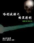 哈利波特之暗黑荷利封面