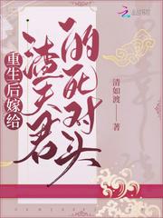 重生后嫁给渣夫君的死对头封面