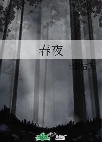 春夜封面